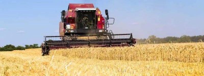夏粮主产区小麦陆续成熟，多个主产区相继开镰