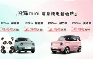 3.99万元起售 吉利熊猫mini正式上市