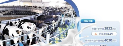 价格下行+成本上涨 奶牛养殖业如何破局？