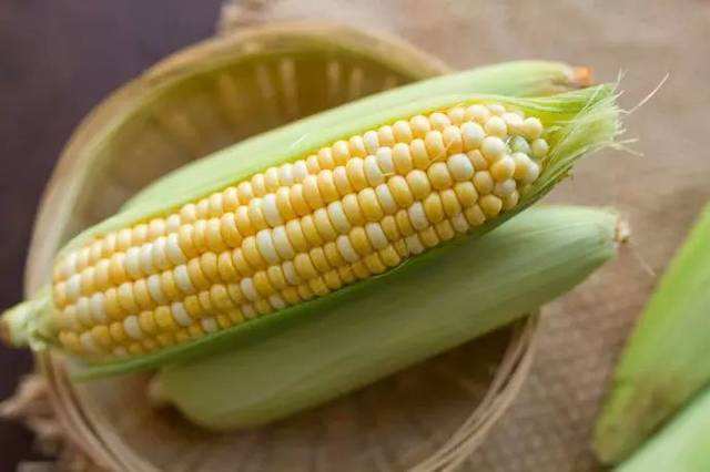 玉米