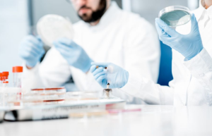 再鼎医药公布2022年第一季度财务业绩实收约4672.4万美元