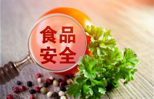 如何保障食物安全？食物安全与粮食安全评价指标不同