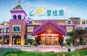 碧桂园、龙湖、美的置业3家民营房企拟发公司债合计20亿