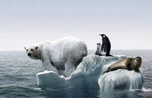 全球变暖地球上的生命将面对怎样的生存环境？