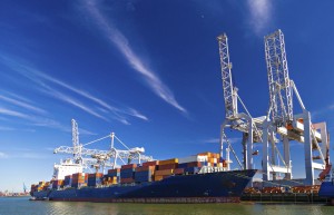 外贸企业苦炼“内功”，面对新变化主动出击发挥自身优势