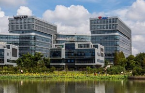 重塑企业生命周期，从大历史视角看宏观周期