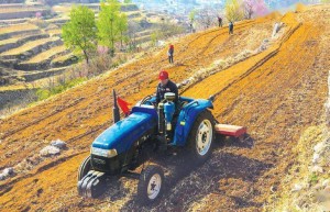 农资稳价保供供销助农攻坚行动，确保春耕农业生产用肥需求