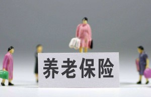 加强养老和健康保险领域标准建设,支持养老保险第三支柱建设