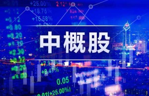 国际资管机构坚定增持中国资产,多家瞄准了互联网中概股