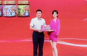 万茜代言双汇调味品 双汇深化“三品一材”产业布局