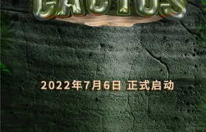 景气低迷下的依然获得VC注资的潜力项目