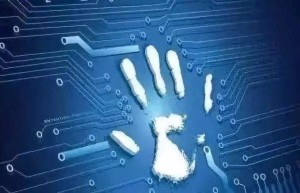 这十年，信息通信业取得跨越式发展