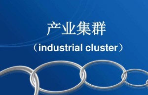 聚焦高水平开放，打造世界级产业集群