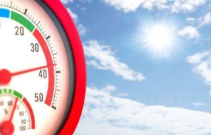 今夏高温天气屡破纪录 专家：这是全球变暖的体现