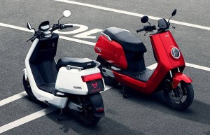 利润暴跌的小牛电动车，还能“高傲”多久？