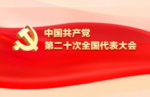 “中国的发展成就为发展中国家树立了榜样”