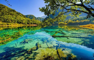 九寨沟在四川哪个城市？九寨沟旅游几月份最佳时间