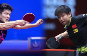 樊振东、孙颖莎将参加WTT球星挑战赛果阿站