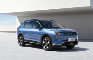 造车烂尾坑了谁？