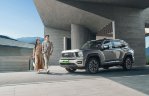 新能源转型，长城如何越过山丘？