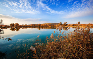 震惊新闻：安徽母亲带着两个女儿跳水溺亡，背后的原因众说纷纭