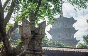 募地价格高到离谱：单价高达76万一平，网友直呼死不起