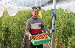 村里年年换新貌，日子越过越红火