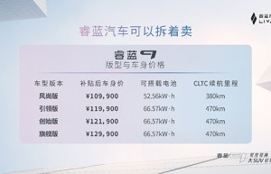 呈现“三大引领” 睿蓝9树立多场景用途价值新标准