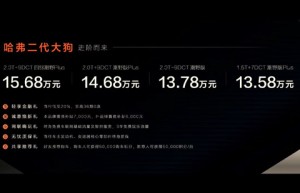 插混车型16.28万元起售 哈弗二代大狗“携电”而来
