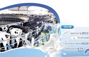 价格下行+成本上涨 奶牛养殖业如何破局？