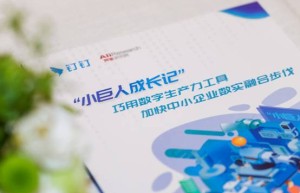 “小巨人”成长记：“小快轻准”数字化路径获认可