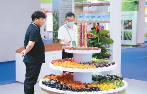 一粒种子，书写“土特产”大文章