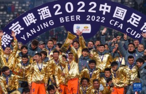 足协杯决赛：山东泰山队夺冠