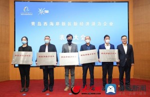 青岛西海岸新区首批新经济潜力企业名单公布 76家企业获表彰