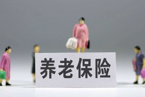 加强养老和健康保险领域标准建设,支持养老保险第三支柱建设