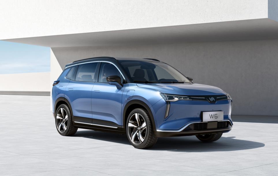 造车烂尾坑了谁？